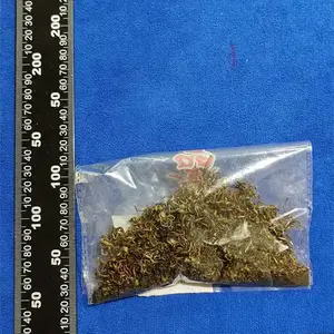 中药水提取物成分分析及配方还原