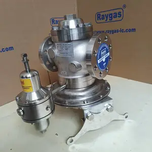 氮气(减压阀 调压阀 控制阀 碳调节阀)raygas-R1098