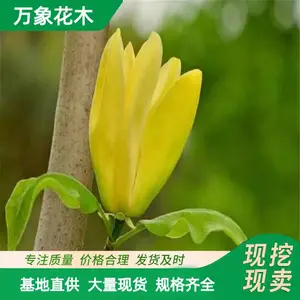 ���س��� �������� �ֵ��е��� ����ͥԺ�̻���ľ �̻�������