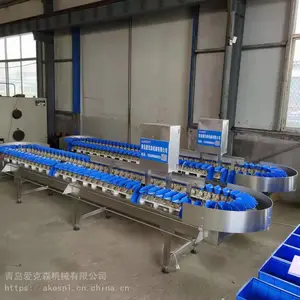 生产厂家 玉米棒重量分选机 琵琶腿分拣机 自动分选秤 加工定制