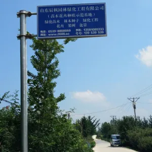山东辰枫园林绿化工程有限公司