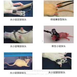 新生鼠脉搏血氧测量仪,小鼠脉搏血氧测量仪 小动物脉搏血氧呼吸监护仪