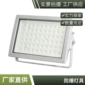 防爆灯 防爆泛光灯 300W 化工厂防爆区投光照明 方形外壳