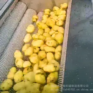 ��Ӧ����������ȥƤ�� 1500��ë��ȥƤ��ϴ�� ����ȥƤ���Ź�����������