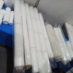 正安厂家供应 定子冷却水滤芯60-C 液体过滤器滤芯60-C水滤芯