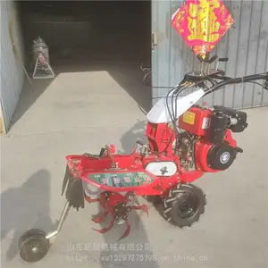 �³���ݮ������ ��԰ʩ�ʻ� �๦�ܲ��ʹ����������ֲ������¢��