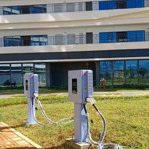 ���ˣ���ţ 40KW ��ǹƾ˫֧����������ݳ��������