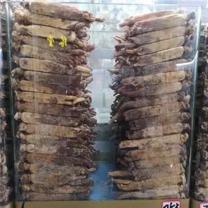 ***�� ����***�� ���ػ�Դ***��Ƭ ���