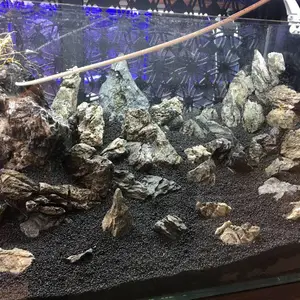 Ư��ʽ΢���� ���ۺӵ���ȱ����� ���ʽ̫���������� ����