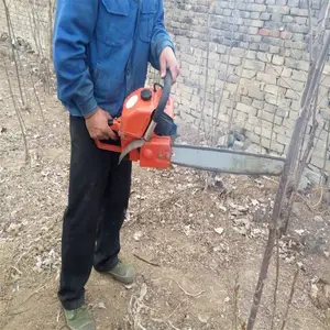 ����ľ���Ի� ԰����������� �̻�ֲ��������