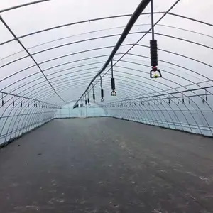 �Ĵ�������ֲ������������ ��Ǿ�����������ͷ ����΢��ͷ��װ