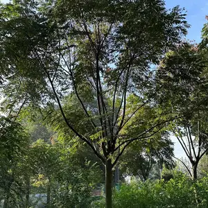 ���������� �� ����18-22�������� ҡǮ����������