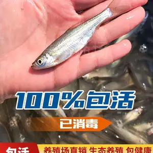 �������������ֳ���� ���������ط�������������� 5-7���ִ�������۸�