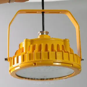 BFD8100-BFD8100-BFD8100-BFD8100支架式防爆泛光灯