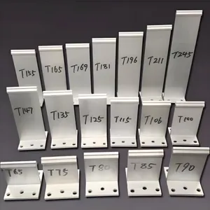�ʸ������Ͻ�֧�� T����֧��