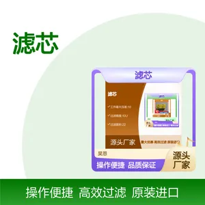 R928018917 2.0004 G60-A00-0-M 1004613B 德国汉格斯特HENGST滤芯