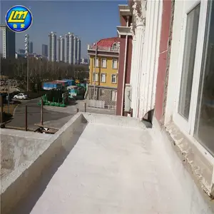 LM防水涂料厨房屋顶卫生间地面柔性补漏材料室内外墙屋面补漏鲁蒙
