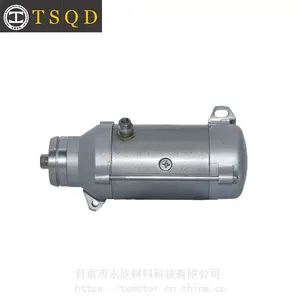 OE NO.31200-463-008 金翼摩托车启动机 Lester:18600N