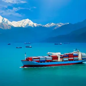 启利物流专注于日本海运清关十年