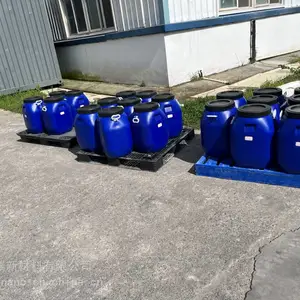 ���׶�������ܽ� С�ؾ��� Ϳ��Ϳ�� �̺�10%