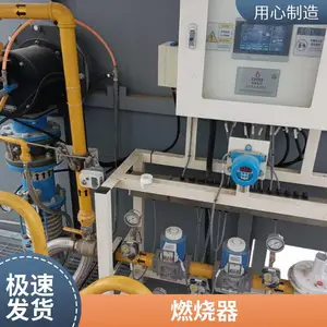 天然气燃烧器烧嘴燃烧系统燃气 天然气燃气加热烧嘴源头厂家岱鼎