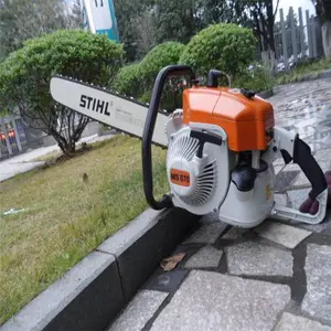 ���� ��������������� �����������Ի� ��ֲ����������