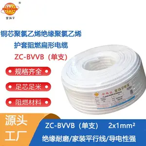 ���������ȼ�����ߵ�֧ZC-BVVB2X1��װ���̲���