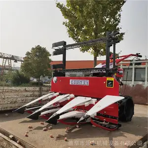 ���������ո���ɹ�� ���׽ոѹ����ַ���ɹ�� �ַ���