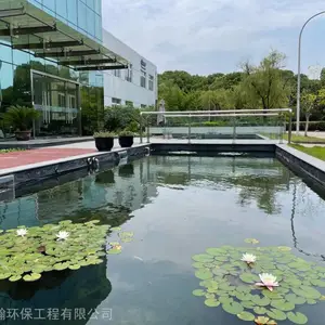 合肥市镜面水池 喷泉池水净化工程