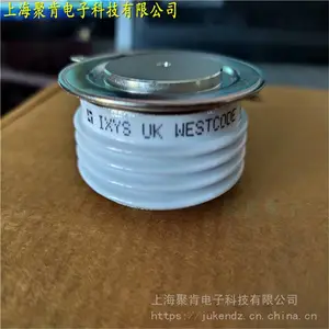 ��������Rϵ�п��ٿɿع�R0633YS10E���ʾ�բ��