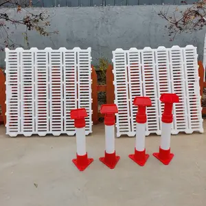 ��ΰ��©��� ˫��Ӻ������� ���������� ��������