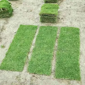 ���ݰ�����Ľ���ƺ ��·�̻���ƺ ��ʱ���ƺ