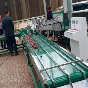 ӣ��Ԥ��� ӣ��ѡ���� Ԥ��ּ����豸 ˮ����ѡװ��