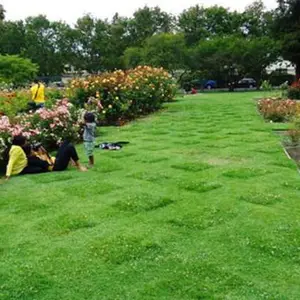 山西人造草坪-雅仕阁园林景观工程-山西人造草坪品种