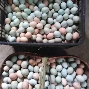 ���ڳ��������� �߲��̿������� ����һ�� ���ϻ� ������ ���һ��