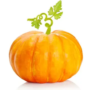 惠州仲恺蔬菜市场/惠州仲恺蔬菜供应商/惠州仲恺附近蔬菜批发/惠州仲恺蔬菜采购
