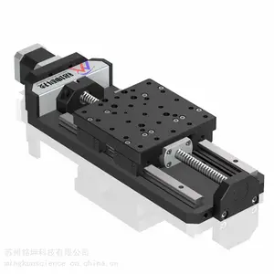高精度自动平移台 ZP140-100（可定制）