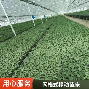 移动苗床 重量轻 外形美观 严选材质 使用时间长久 航迪金属