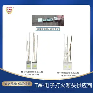 小型电子点火变压器 打火高压包发生器 电弧打火机厂 家配件
