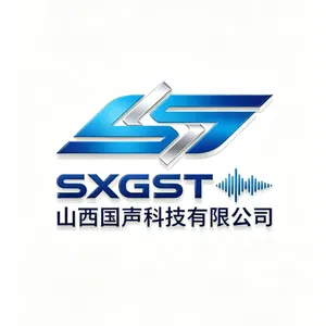 山西国声科技有限公司