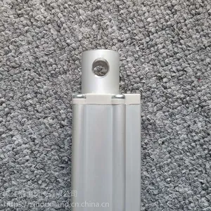 24V�ɶ���50-1000mmֱ��΢�͵��ֱ���綯�Ƹ�����������