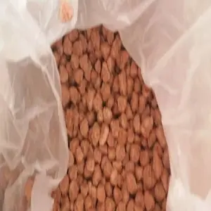 山东大豆拉丝蛋白食品添加剂膨化豆制品拉丝蛋白1kg包邮