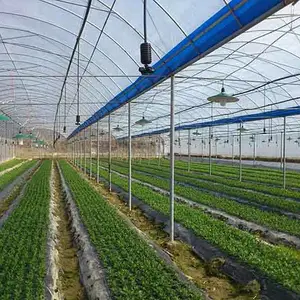 福州雨顺灌溉设备厂家-福州果园自动打药设备