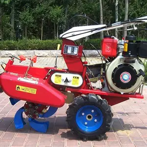 С���Ĵ�ʽ΢���� �������Ͷ���΢���� С������ַ�΢����