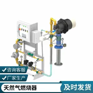 设计RTO废气焚烧炉燃烧器 柴油烧嘴 轻油烧嘴裂解气烧嘴 岱鼎燃烧