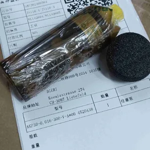 BIERI柱塞泵AKP30-0,016-300-V-A*00 4520438