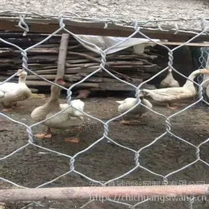 加固格宾石笼网技术河流防洪护岸水利工程