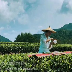漳平水仙 水仙王子 乌龙茶铁观音 岩茶 水仙茶厂 漳平厚德水仙茶厂 水仙批发
