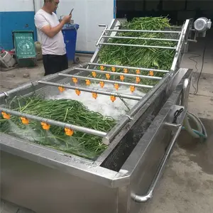 全自动气泡清洗流水线 喷淋清洗机 净菜清洗流水线设备