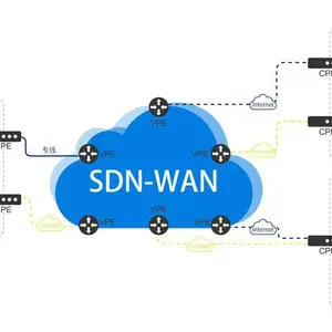 鹏博士SDWAN组网